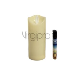 FGC 202 – 1 Nr.025