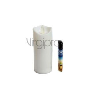 FGC 202 – 1W Nr.023