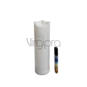 FGC 202 – 3W Nr.021