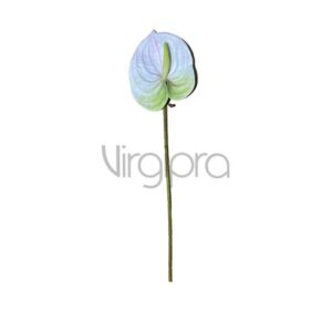 LY – 017 Anturis 51CM Nr.545