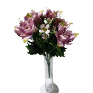 Home magnolijų p. nr.451