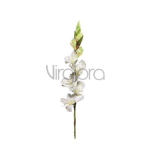 SUN-367 Kardelis 86CM WHITE Nr.502