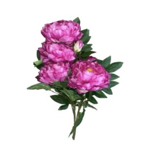 SUN – 122 Pinavija 65cm fuchsia Nr.329