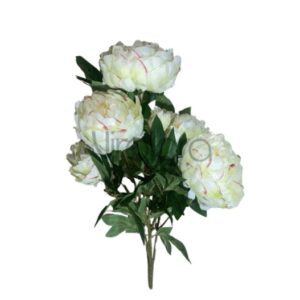 sun – 122 pinavija 65cm lt green edge pink nr.328