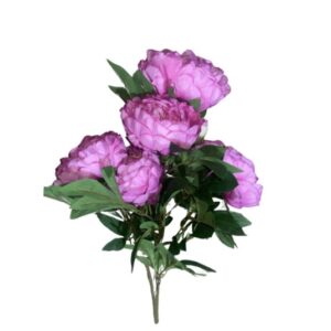 SUN – 122 Pinavija 65cm pink edge beauty Nr.327