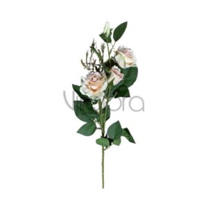 SUN – 130/78CM Rožė CREAM Nr.489