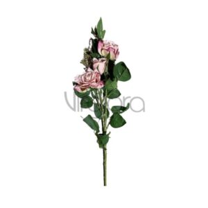 SUN – 130/78CM Rožė DIRTY PINK Nr.487