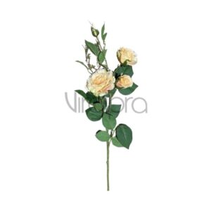 SUN – 130/78CM Rožė LT YELLOW Nr.492