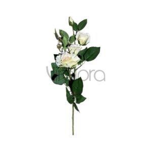 SUN – 130/78CM Rožė Nr.491