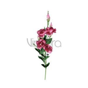 SUN – 345/76CM Eustoma BURN DIRTY PINK Nr.466