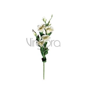 SUN – 345/76CM Eustoma CREAMY PUDDING Nr.464