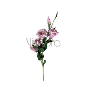 Home SUN – 345/76CM Eustoma DIRTY PINK Nr.467
