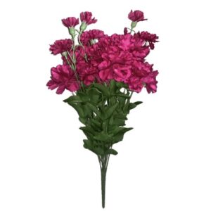 sun – 495 gvazdikai 50cm dr.beauty nr.335