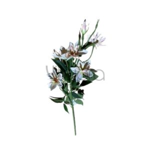 SUN – 508 Raganė 80CM Nr.530