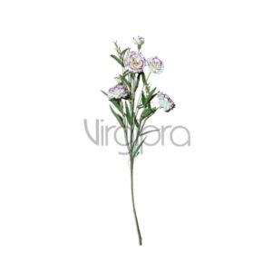 SUN – 641 Gvazdikas 69CM Nr.526