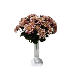 SUN470 Chrizantemų p. Nr.443