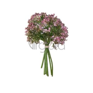 AA 022 23cm pink Nr.728