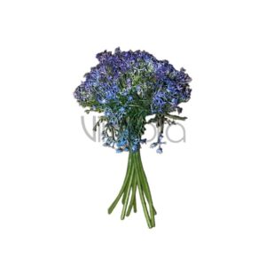 AA 022 23cm purple blue Nr.726