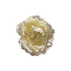 ART – 060 Bijūnas vanillia/lt pink Nr.632