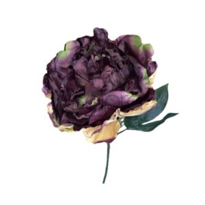 ART060 Pinavija 73cm DARK PURPLE/GREEN Nr.586