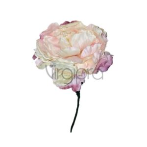 ART060 Pinavija 73cm PEARL WHITE EDGE BEAUTY Nr.589