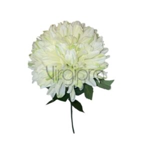 CHRIZANTEMA 75CM LT GREEN Nr.569