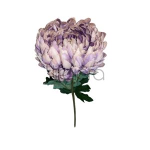 Chrizantema 72CM Nr.567