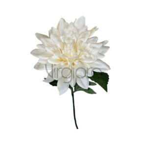 DALIJA 72CM CREAM Nr.585