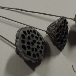 Floristiniai priedai Nr.701