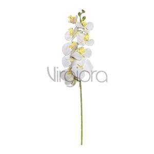 GK150-01 Orchidėja 94cm white/cream center Nr.600