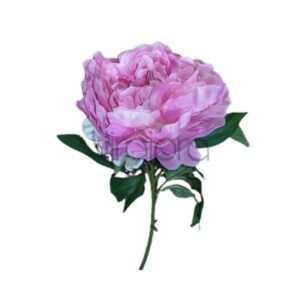 SUN – 406 CANDY PINK PINAVIJA Nr.598