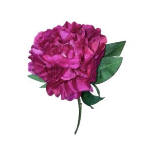 SUN – 406 DR BEAUTY/GREEN PINAVIJA Nr.594