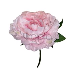 SUN – 406 LT DIRTY PINK PINAVIJA Nr.593