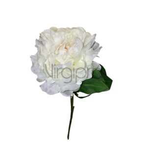 SUN – 406 WHITE PINAVIJA Nr.592