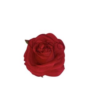 SUN – 601 ROŽĖ 5X8,5CM Nr.667