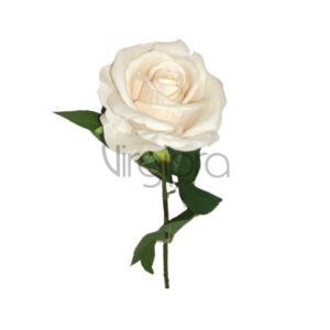 Veliurinė rožė 70cm CREAM Nr.577
